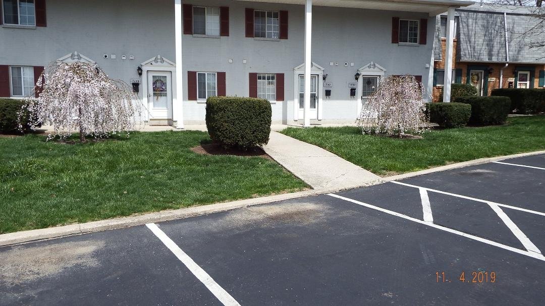 Coleman Archives
Japanese Weeping Cherry trees - Condo complex
Planted in Remembrance of Carolyn M. Christman
23 Sept 1940 - 13 Apr 2013 - In loving Memory...