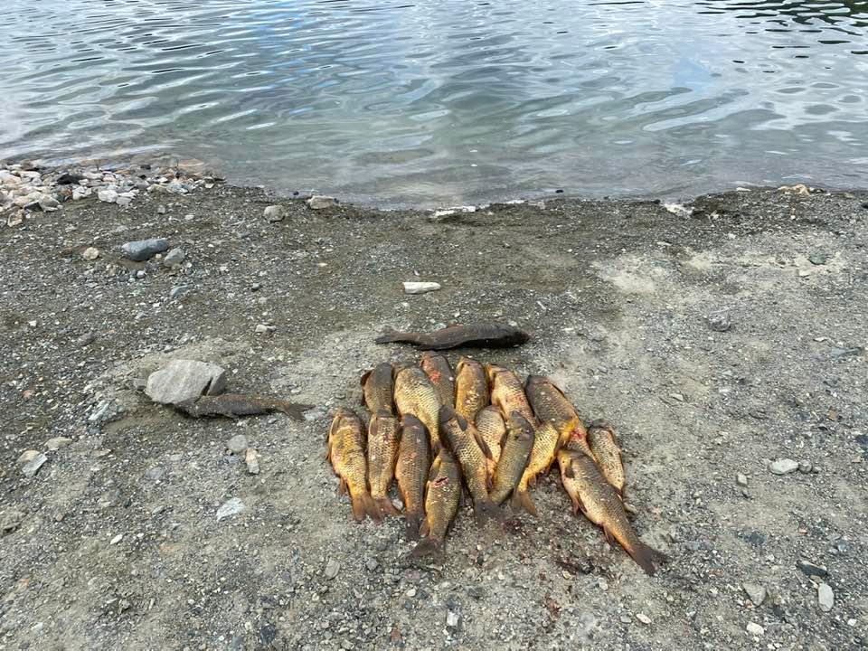 I will think to the great sportsman bowhunters for leaving this mess and long side of the public boat launch or in Canyon ferry maybe we need to do something about this.