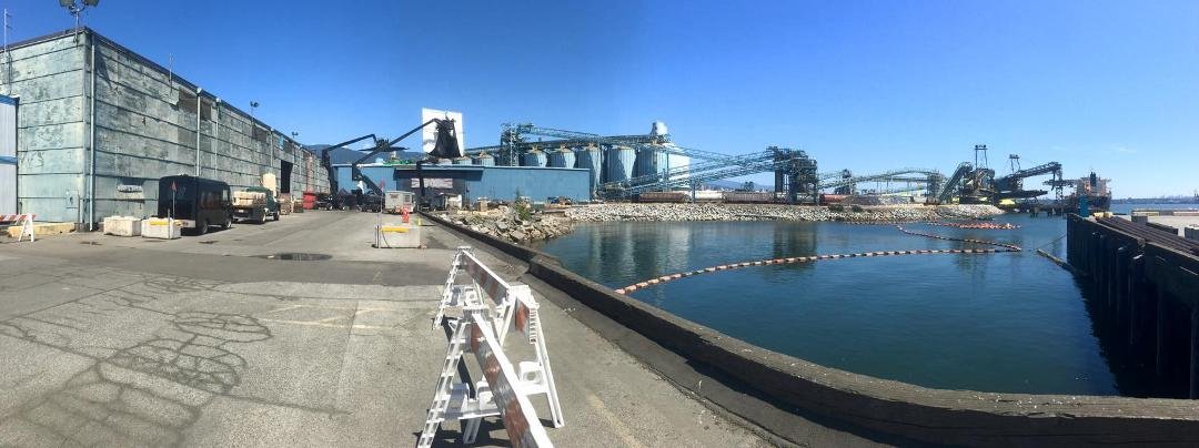Just another day on the docks....