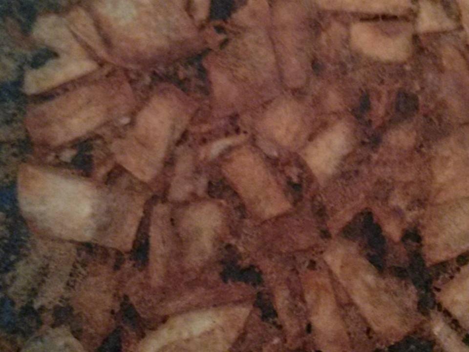 I'm posting a mystery picture today. It may be down right impossible, but can you guess what it is? It's not anything considered to be vulgar or uncouth etc.