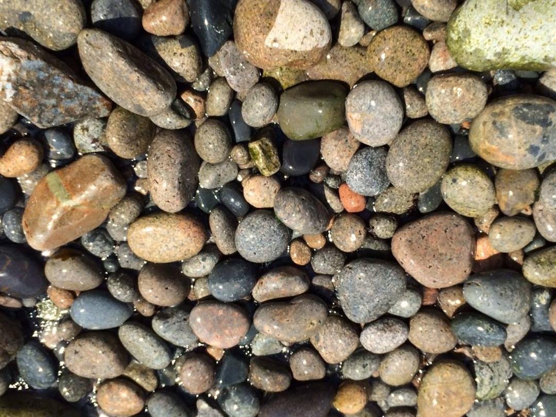 Maine beach
