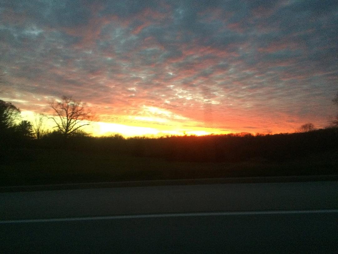 Cathy Meyer's album, Timeline Photos