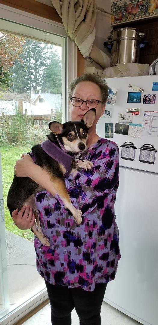 I've never posted what am wearing but I matched my puppy today. Lularoe day for comfort.