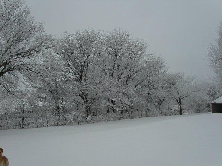 Sammy Wright's album, January 22, 2011