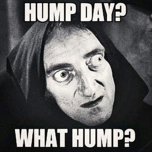 Great Day All