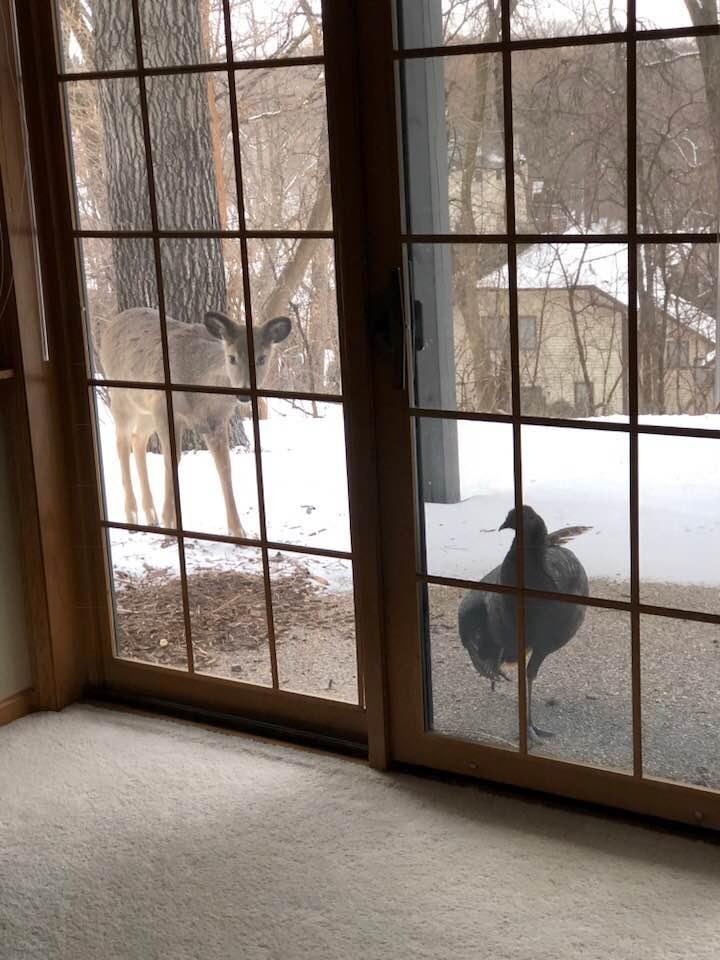 My friends came to welcome me back to Minnesota!