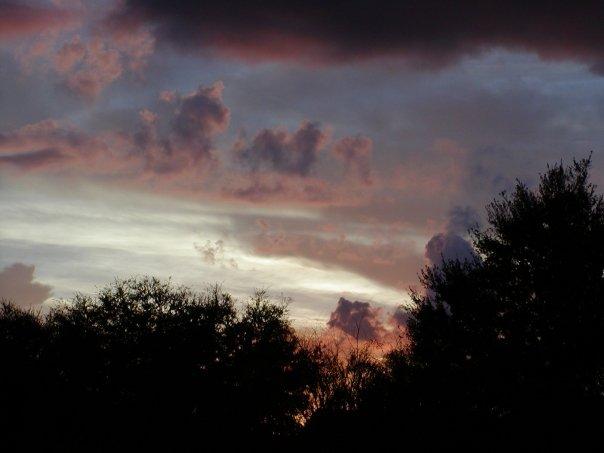 larry abbott's album, Sunsets in Florida