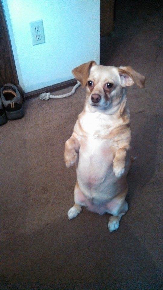 Is it breakfast yet? I'm hungry, too!!!