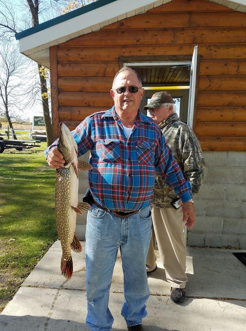 Nice northern pike 7lb 4oz