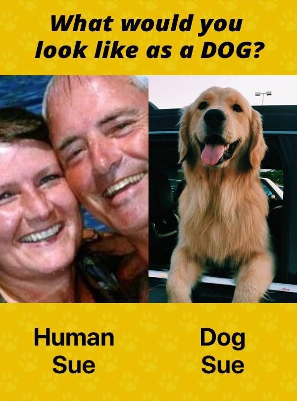 Susan Booth's album, Timeline Photos