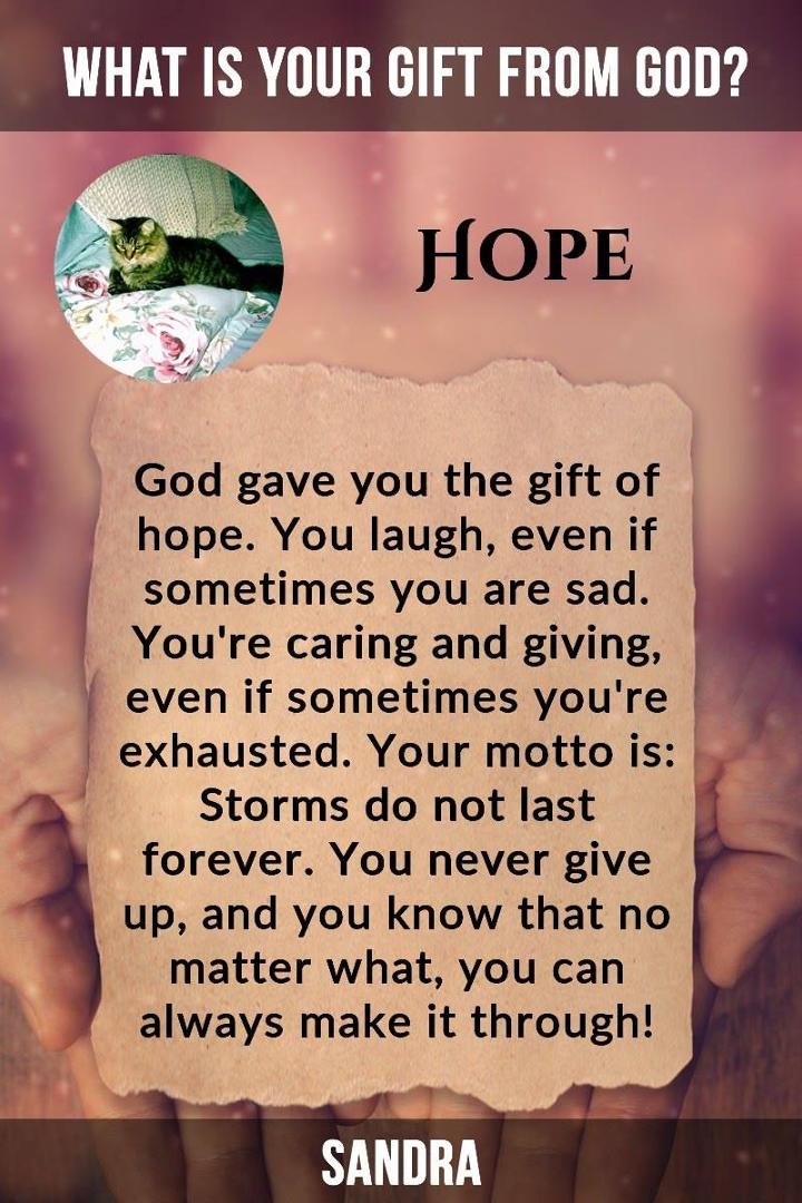 Sandra Niemeier's album, Timeline photos