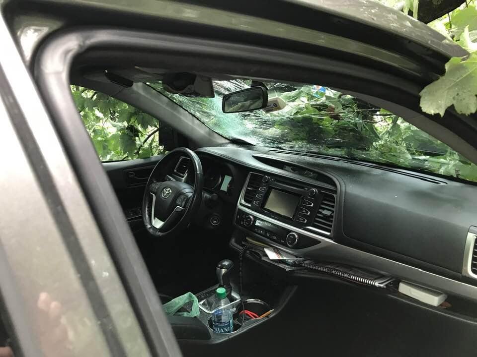 Driver side window.