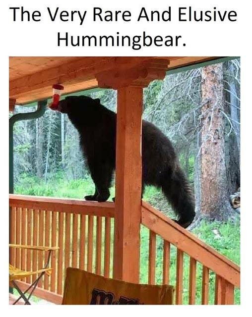 Bruce Barrett's album, Timeline Photos