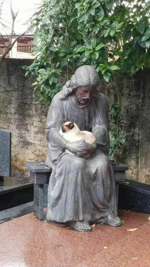 Safe in the arms of Jesus!