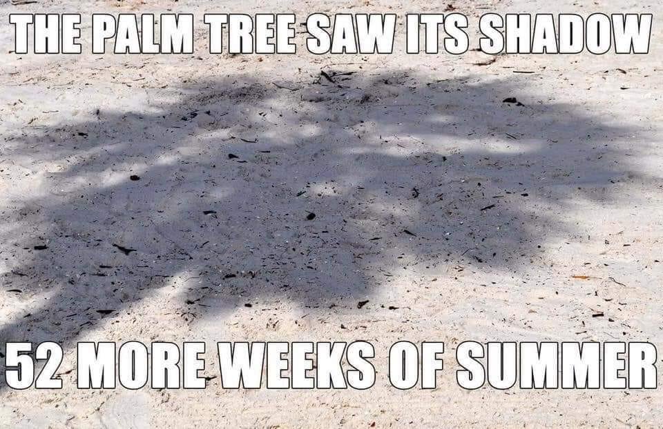 WILLIAM E TYNER's album, Timeline Photos