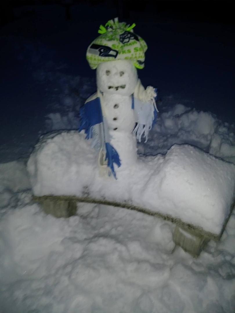 I built a snowman for all of my friends. Hope you like him/her. 8 inches of snow that didn't want to compact together so it wasn't an easy task.