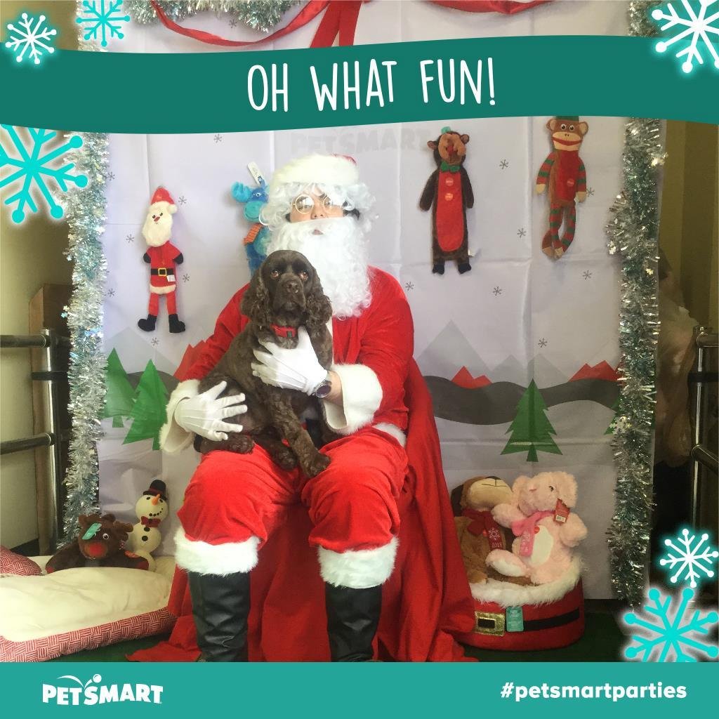 Augie making his first trip to see Santa!