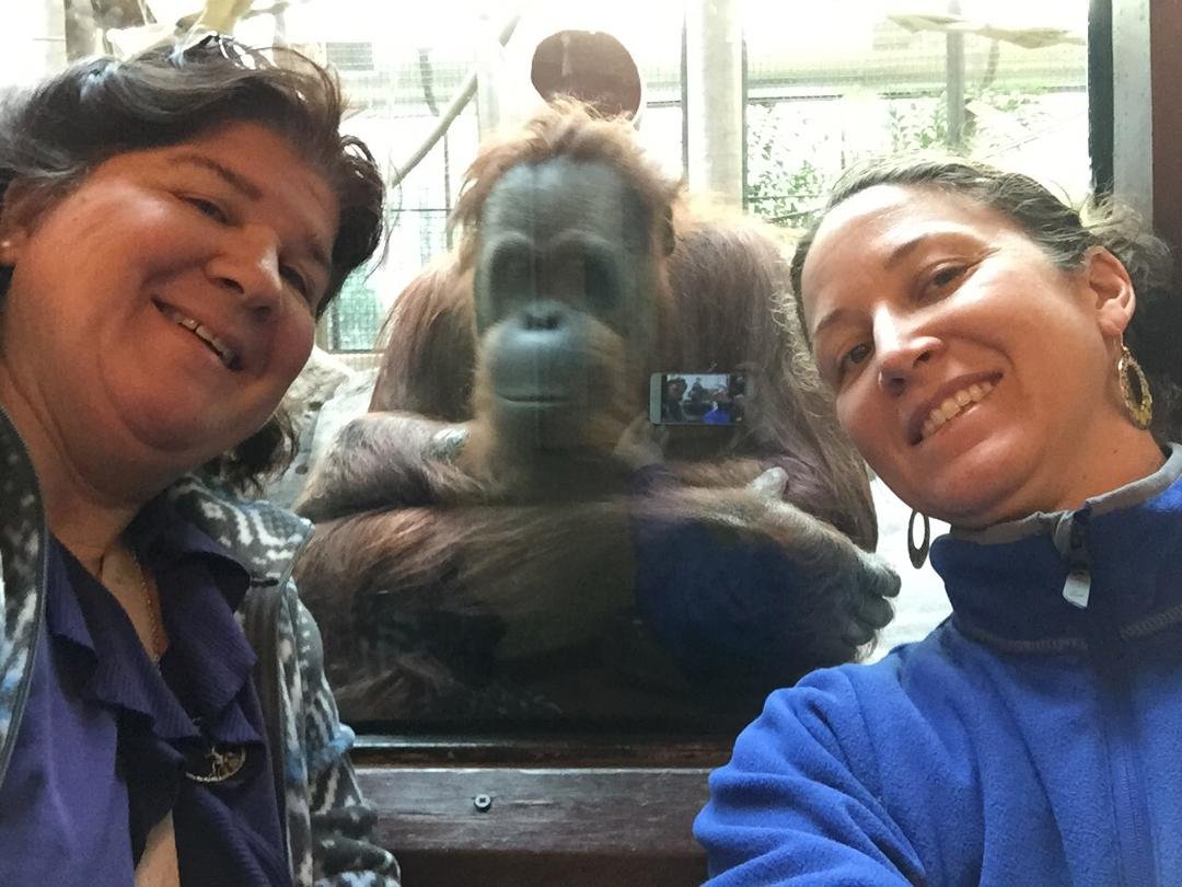 Selfies at the zoo!