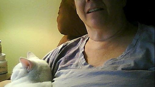 Typing one-handed with my bad left hand. as one of my kitties desired the use of my right arm to cuddle in!