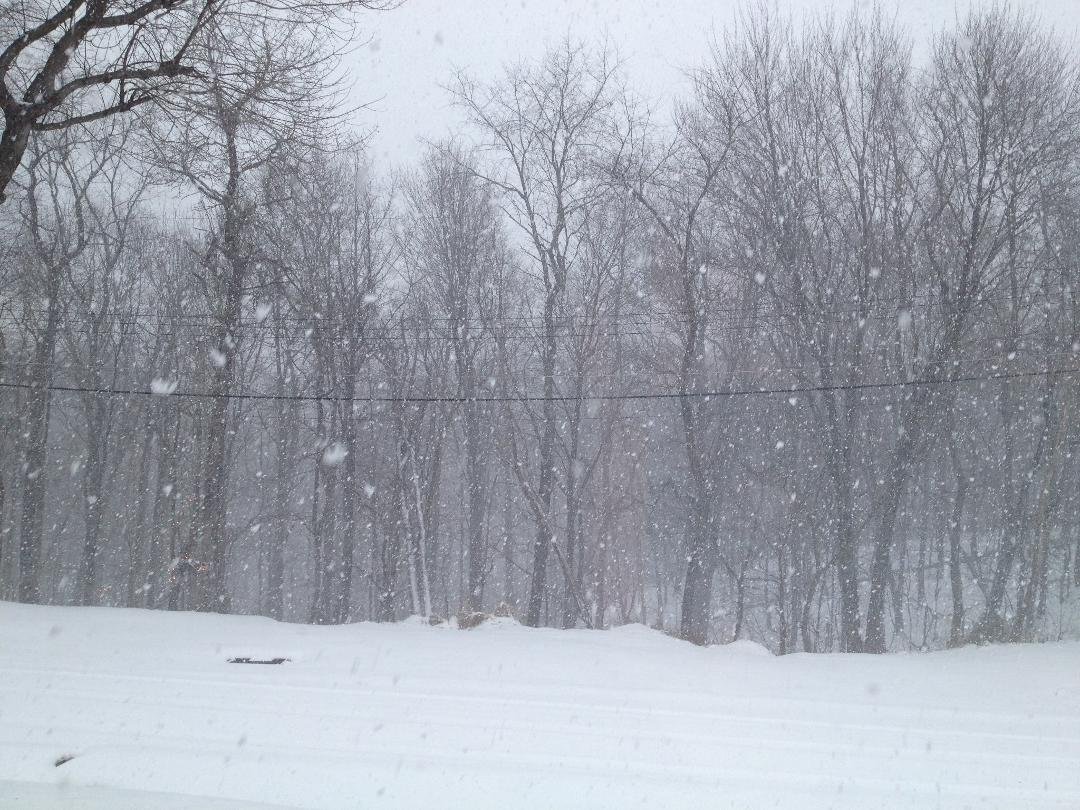 Let it snow, let it snow, let it snow