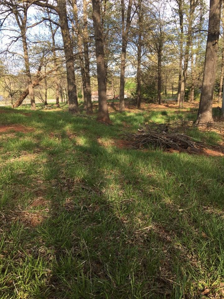 Sooo peaceful here at my new place.