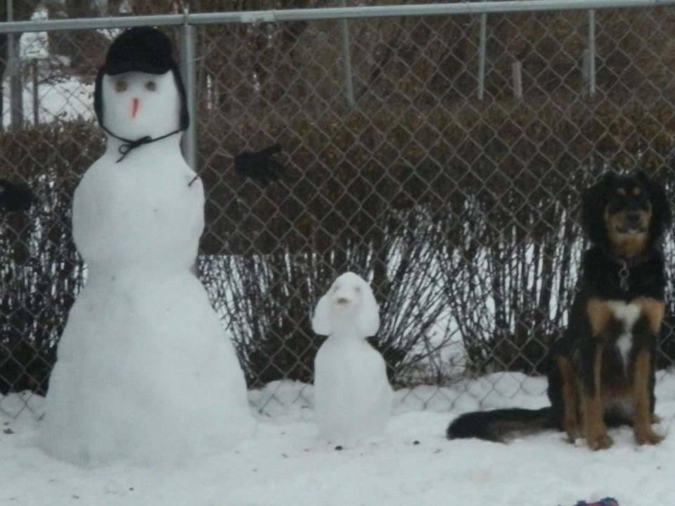 This was last year,Teresa had just finished making these,Cassy went over and sat down next to them cause she thought she had too.I caught the picture just lucky I guess I think it's cute.hHow many likes can Cassy get lets s