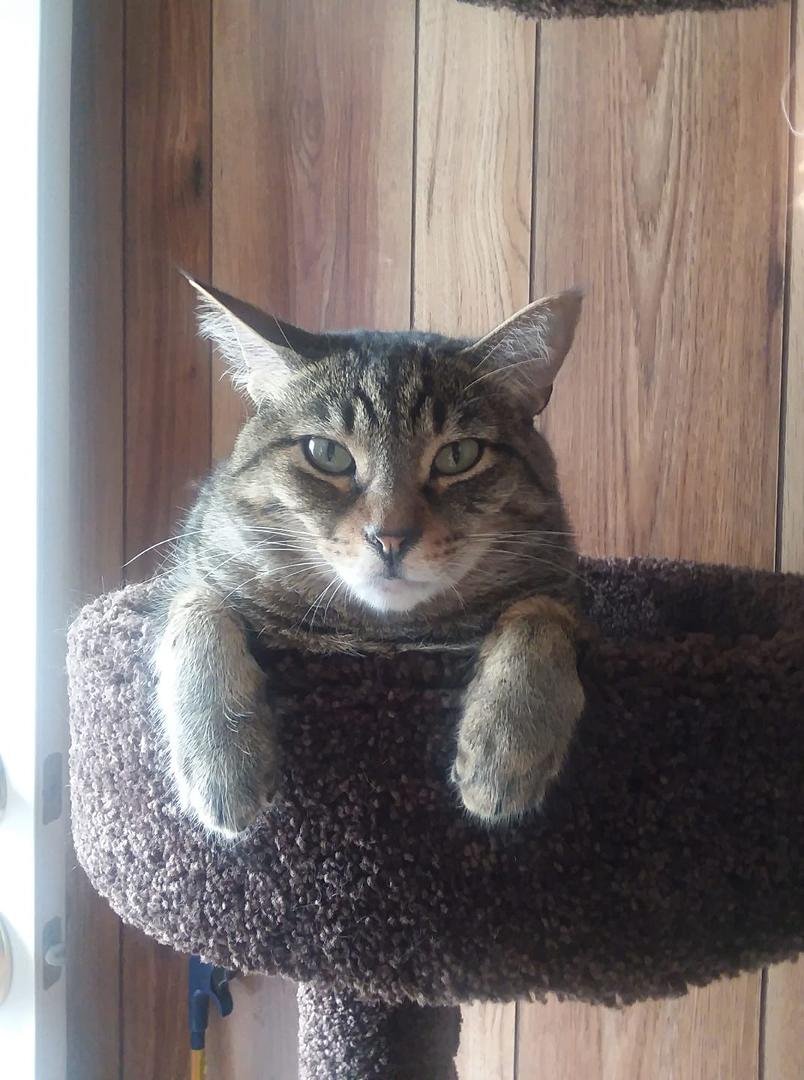 Relaxing