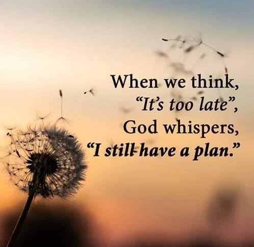 PAM Cooper-Hill's album, Timeline photos