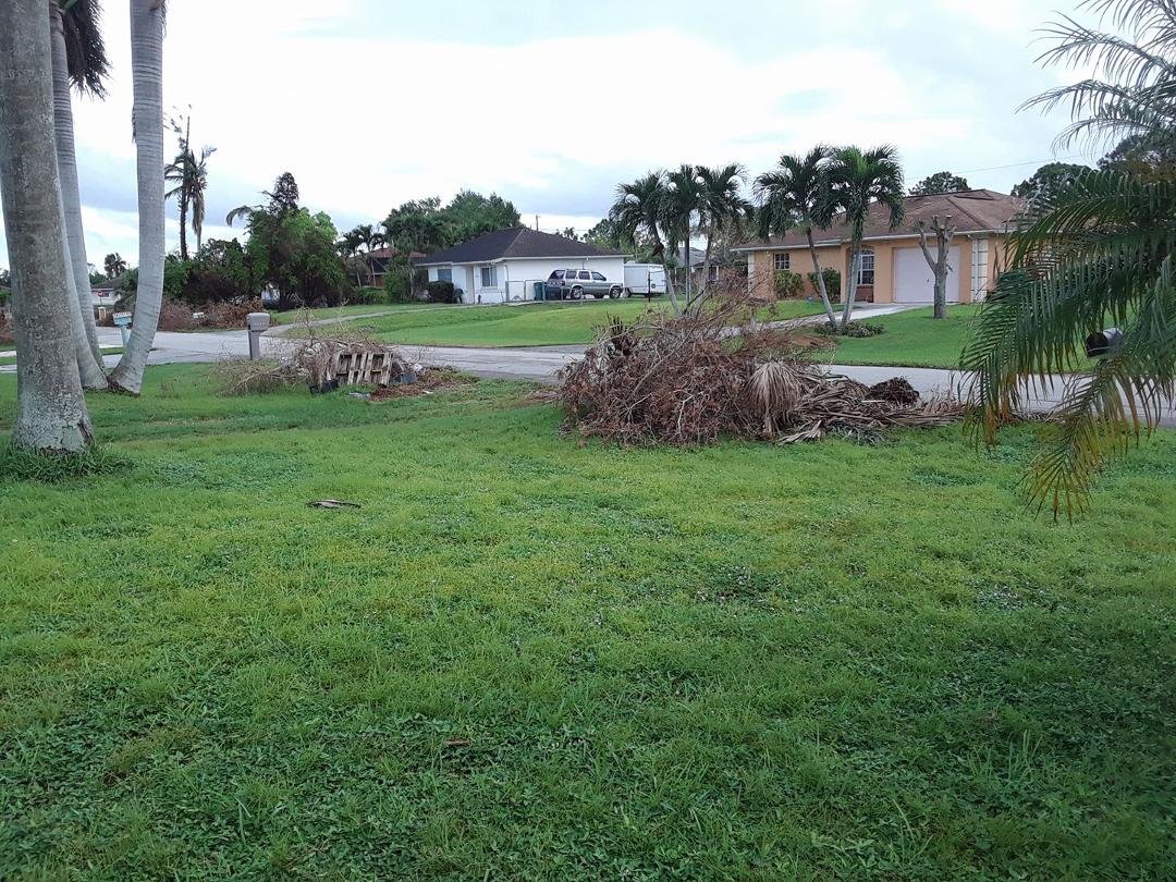 One of 4 such piles in my ffont yard. Have not done my bacj yard yet. More coming