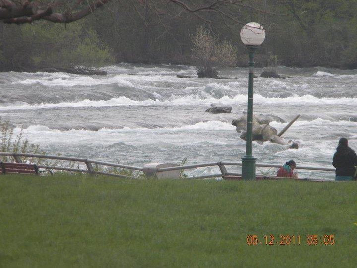 Tracy Leffew's album, 2011 National's Vacation at Niagara Falls