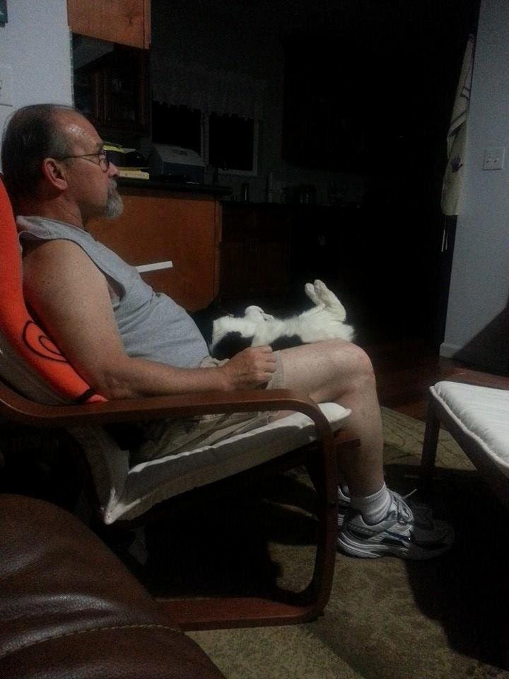 So glad dad is home...silly cat