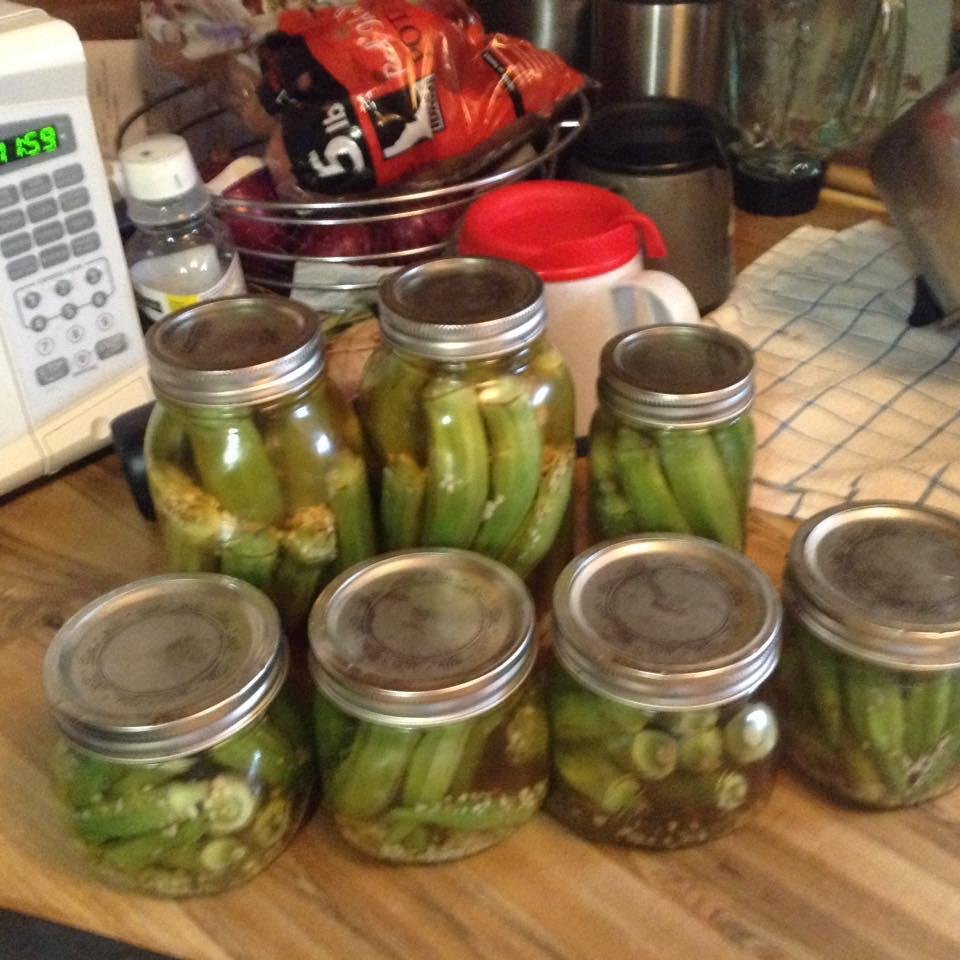 Pickled okra I just made so easy. Be ready to dig in next Sunday