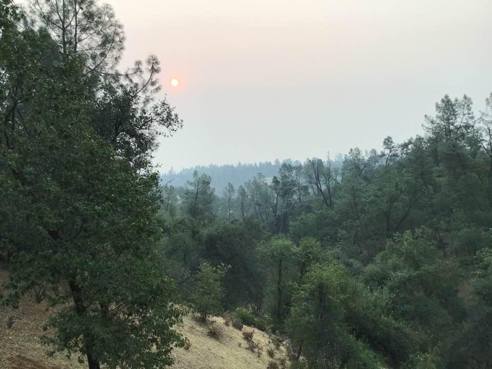 Smokey sunrise.