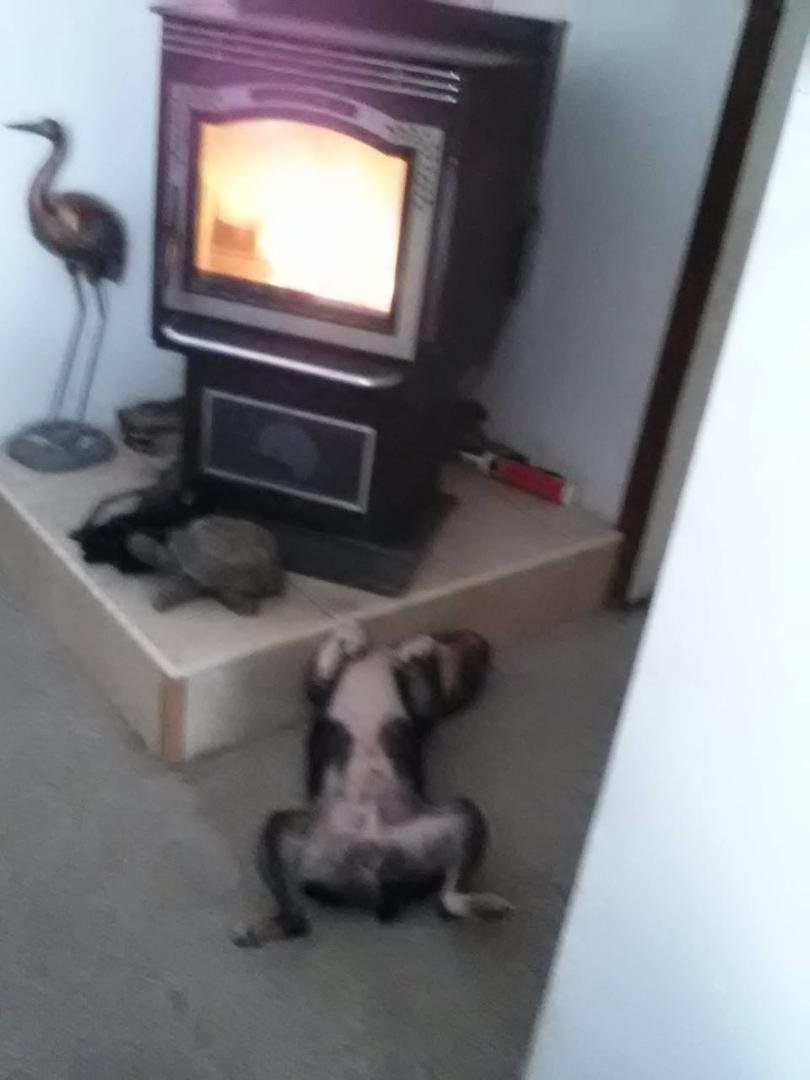 Is this the life or what?