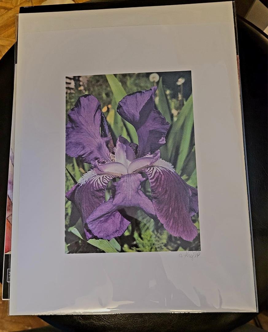 The print of the Flower, Iris. Is available.