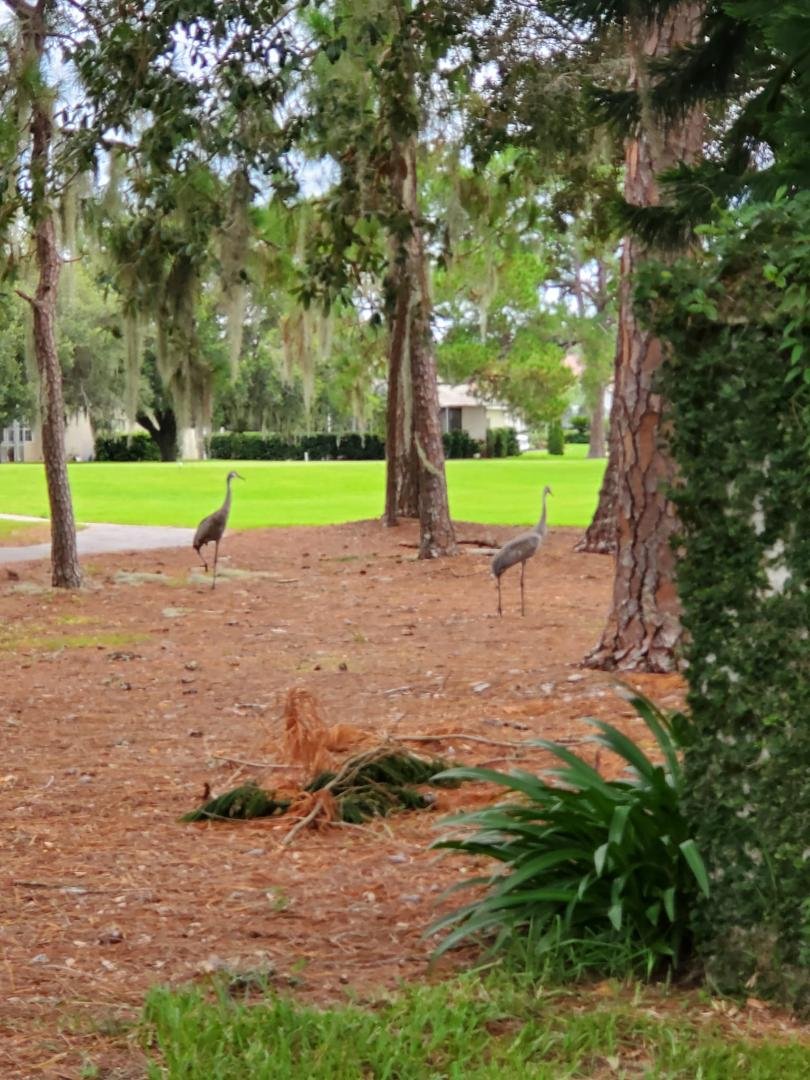 Visitors on cloudy day