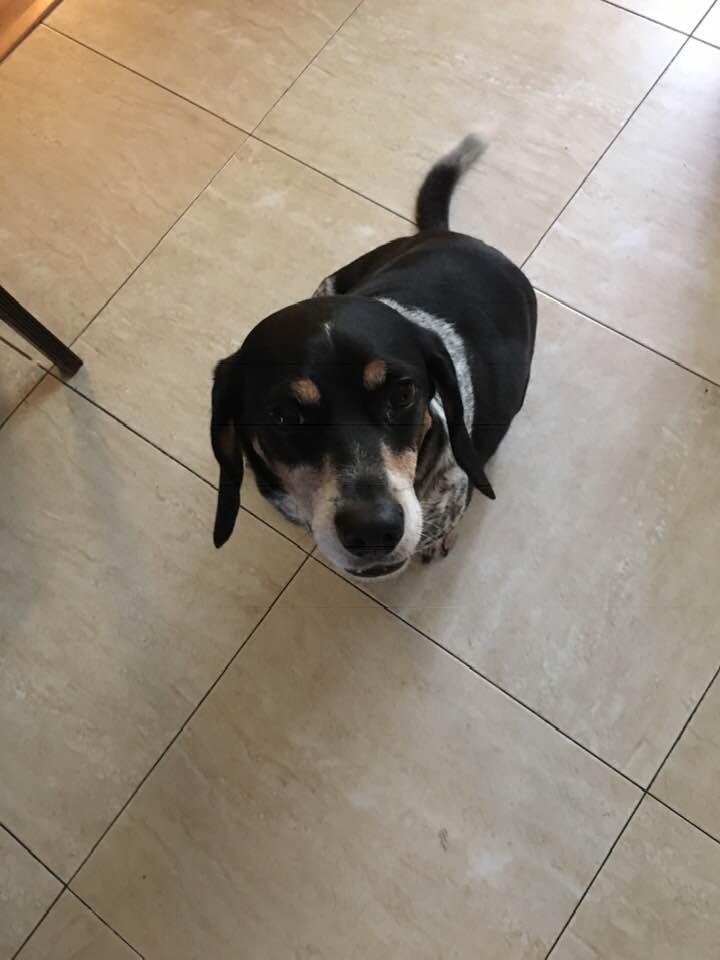 The birthday boy seven years old
