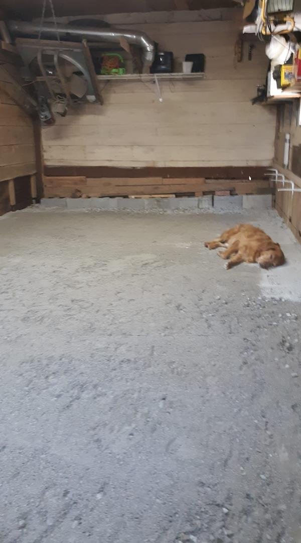 I think I made the dog pen to big