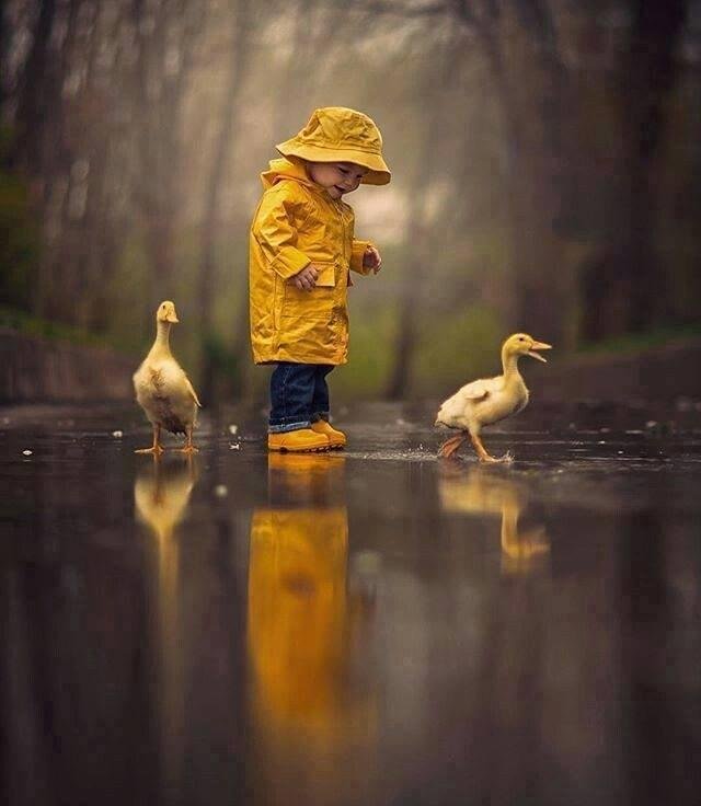 This seemed to "mimic" our weather today....except these "lil cutues are enjoying the rain much more than I did..Oh, the joy of the simple little pleasures in this life!!! I love to walk in the rain when it isn't sooooo co