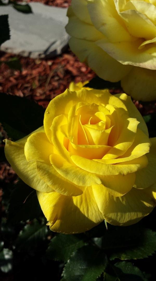 Esther Pittman's album, Timeline Photos