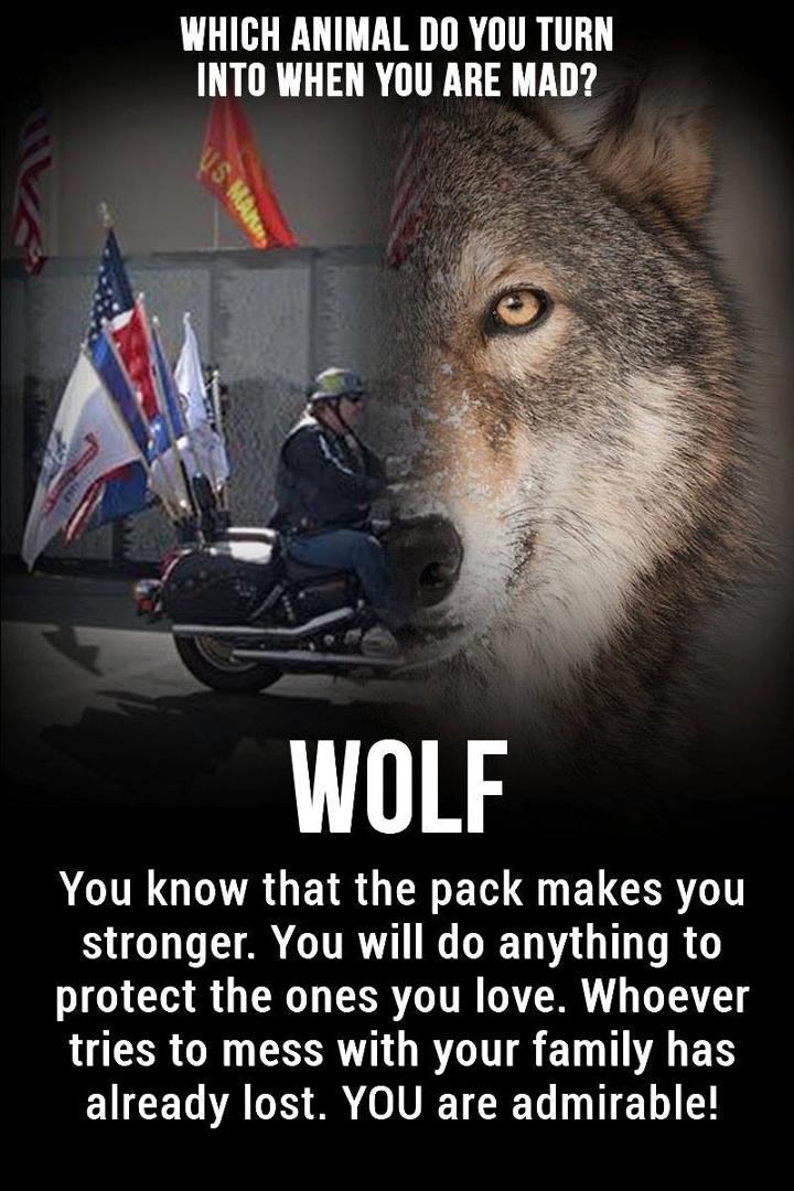 John Strickler's album, Timeline photos