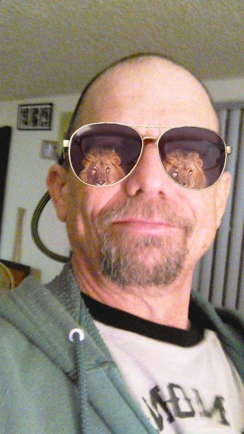 Check out the lions in shades