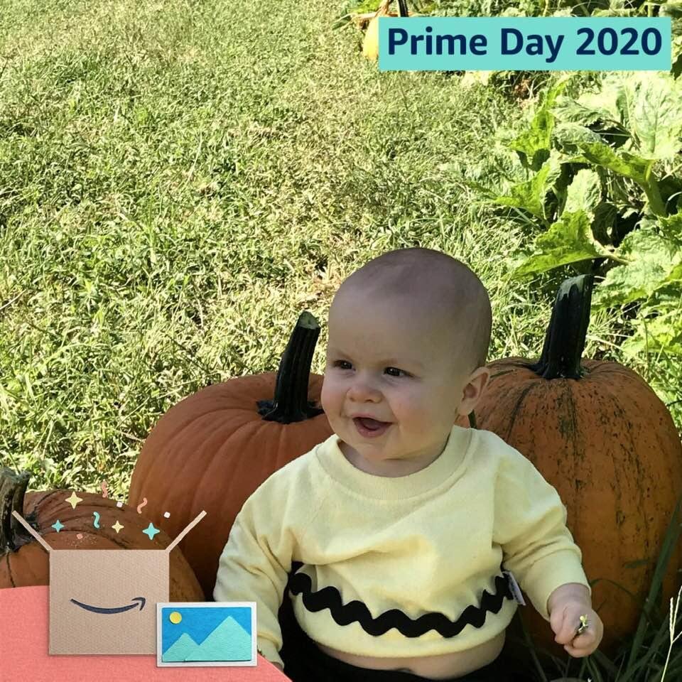 First Visit to a pumpkin patch!