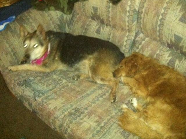Maggie and Buster