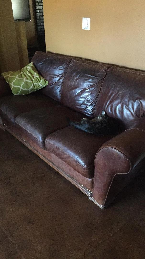 Hey Facebook peeps, we have a leather sofa that's going free on craigslist tomorrow if nobody wants it. It's a little beat up, and one cushion had a small hole, but comfy and pretty. If you're interested, let me know.
