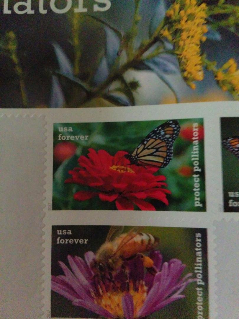 Since I don't know how to send more than one picture at a time, I will have to do two separate posts. I want to draw attention to the butterfly stamp from the U S Postal Service issue from their recently released "Protect P