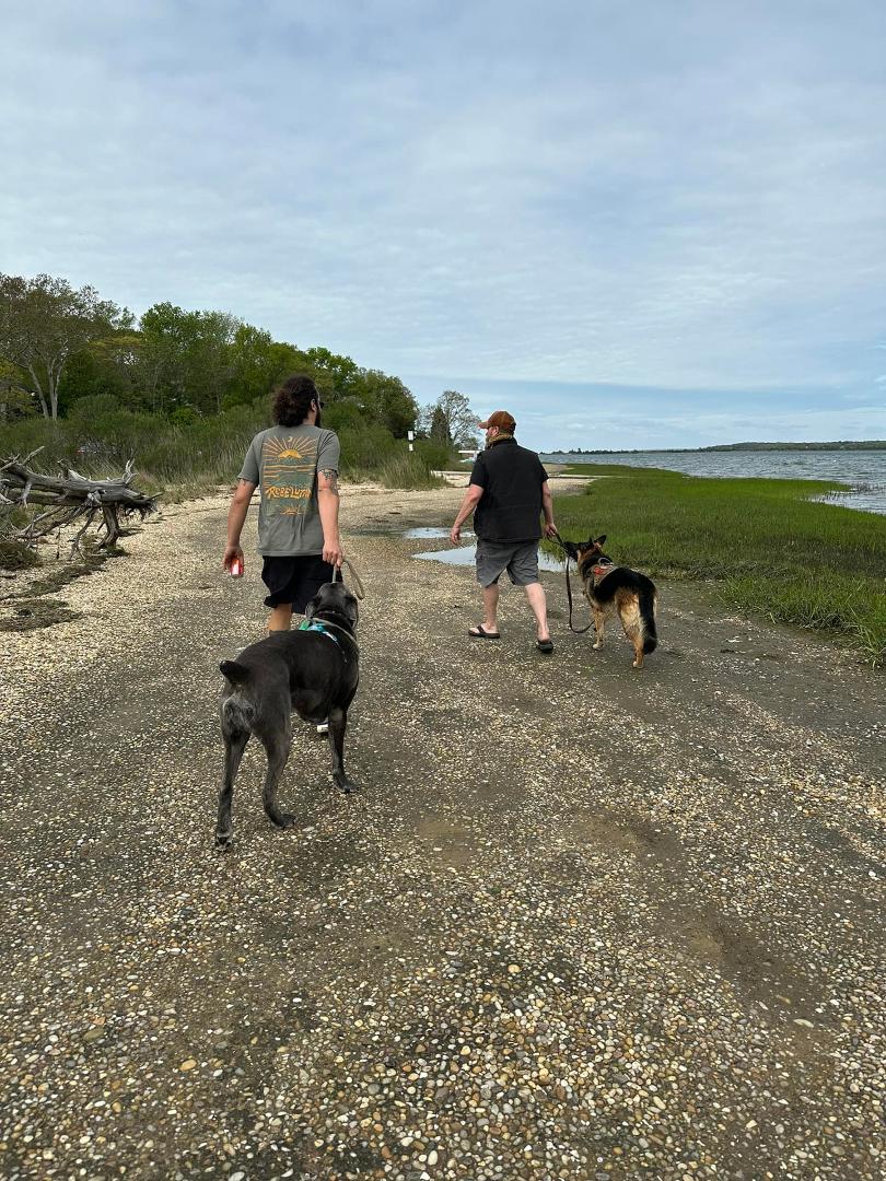 Bonnie stared at Gajah confused as he bit his leash the whole walk then decided to join in on the way back 😆