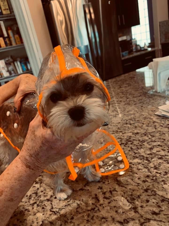 Preparing for winter showers!