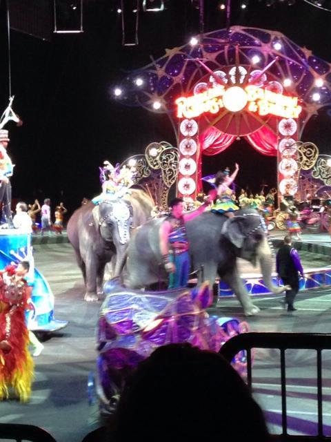 Had not been to the circus in 25 years. It really hasn't changed but it was fun watching the kids enjoy.