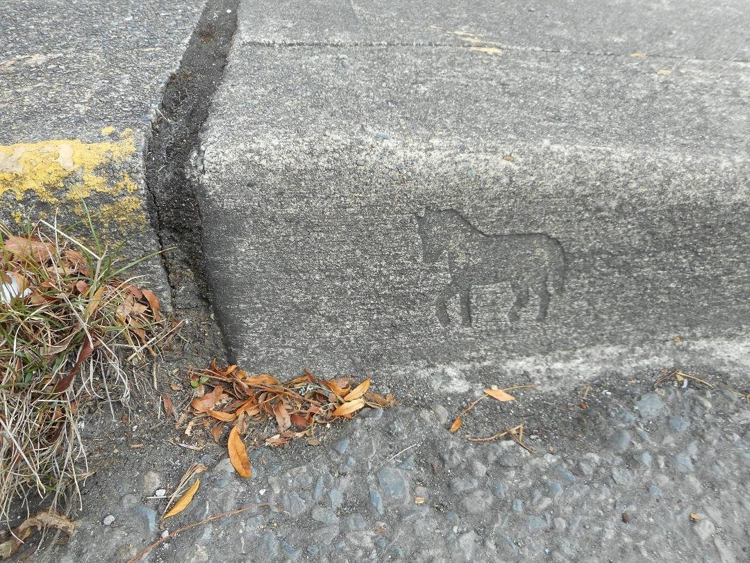 Hey Dwight Moody, have you ever noticed this horse on the curb directly in front of the downtown Olympia post office? Maybe I should look for more of them around town, eh?